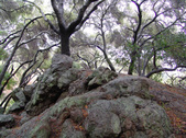 Enlarge photo 46