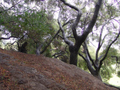 Enlarge photo 47