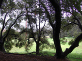 Enlarge photo 48