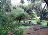 Enlarge photo 49