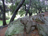 Enlarge photo 50