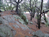 Enlarge photo 51