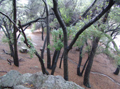 Enlarge photo 52