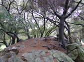 Enlarge photo 53