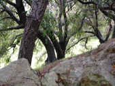 Enlarge photo 54
