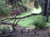 Enlarge photo 56