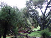 Enlarge photo 57