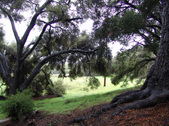 Enlarge photo 58