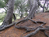 Enlarge photo 59
