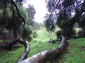 Enlarge photo 62