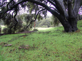 Enlarge photo 63