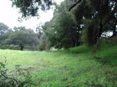 Enlarge photo 65