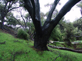 Enlarge photo 67