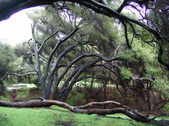 Enlarge photo 68