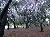 Enlarge photo 69