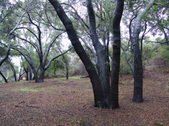 Enlarge photo 70