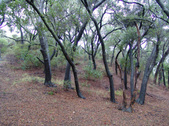Enlarge photo 71