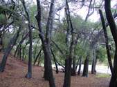 Enlarge photo 72