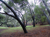Enlarge photo 73