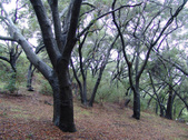 Enlarge photo 75