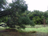 Enlarge photo 77