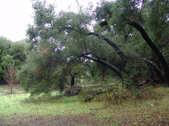 Enlarge photo 78
