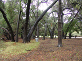 Enlarge photo 79