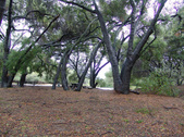 Enlarge photo 80