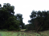 Enlarge photo 82