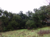 Enlarge photo 83