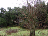 Enlarge photo 84