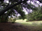 Enlarge photo 87