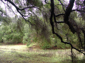 Enlarge photo 88