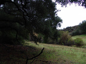 Enlarge photo 89