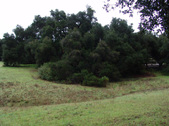 Enlarge photo 91