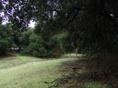 Enlarge photo 92