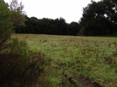 Enlarge photo 93