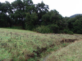Enlarge photo 94