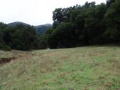 Enlarge photo 95