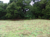 Enlarge photo 96