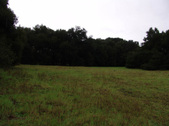 Enlarge photo 97