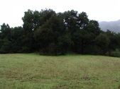 Enlarge photo 98