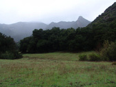 Enlarge photo 99