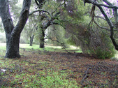 Enlarge photo 102
