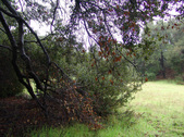 Enlarge photo 103