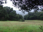 Enlarge photo 104