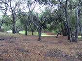 Enlarge photo 105
