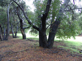 Enlarge photo 106