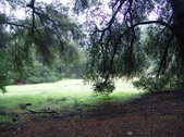 Enlarge photo 107