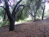 Enlarge photo 108